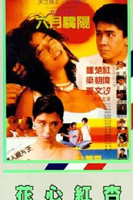 我是特种兵免费播放视频