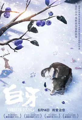 国产精品探花一区在线观看