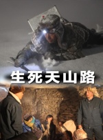 成人午夜久久