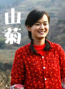 伊人久久大香线蕉资源