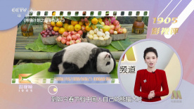 拍拍拍交性免费视频